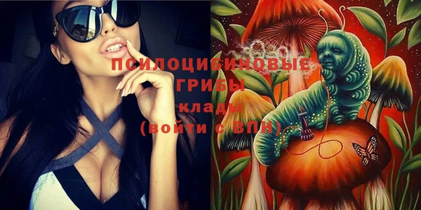 apvp Баксан