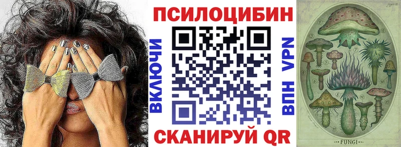 OMG рабочий сайт  Борисоглебск  Псилоцибиновые грибы Psilocybine cubensis 
